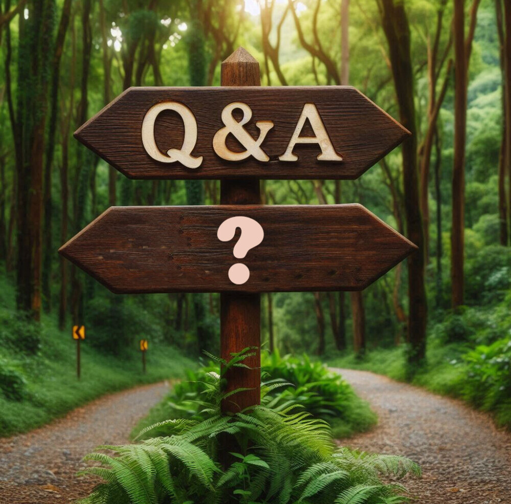 Affiliate Marketing Q&A: Everything You Need To Know on retireonpassicve 